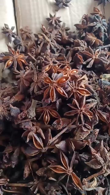 玉林广西玉林秋季大红八角干货