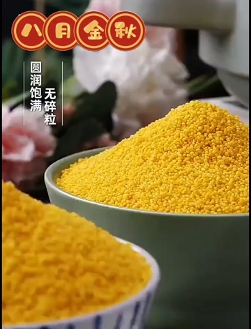 内蒙古纯K1黄小米 米油丰富绿色农产品 安全健康2.5kg