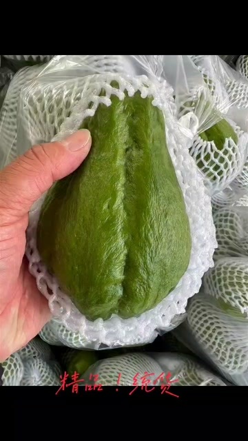 马关县佛手瓜