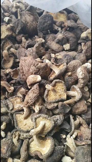 椴木香菇干货，深山原木栽培 自然生长