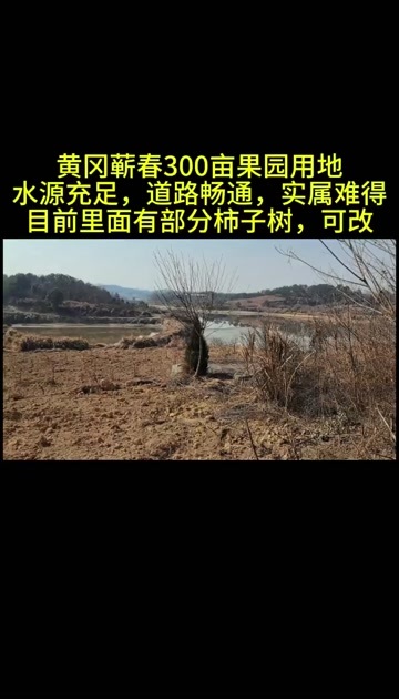 蕲春县黄冈蕲春300亩果园用地出租