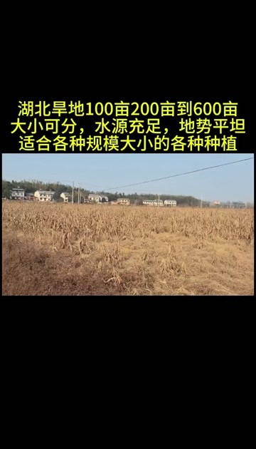 武汉湖北咸宁赤壁100亩200亩300亩1000亩旱地出租