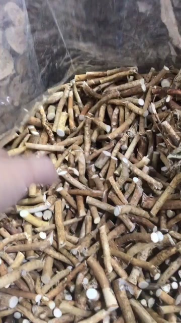 五指毛桃小节无硫干货味道正五指牛奶细条段状中药材五爪龙批发