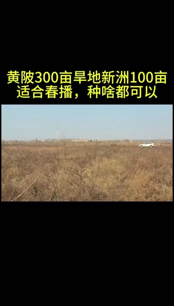 武汉黄陂300亩春播地新洲阳逻100亩春播地