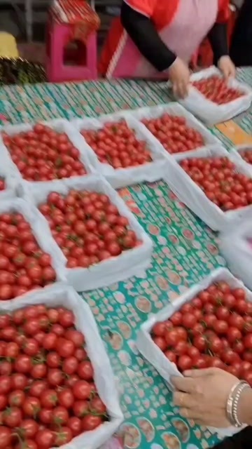 陵水县海南圣女果，哈密瓜，火龙果，芒果等瓜果蔬菜