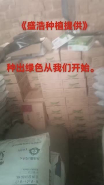 喝牛奶长大的小白嘴白山药。