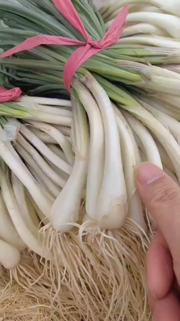 湘潭基地直供，品质好，货源充足，价格实惠