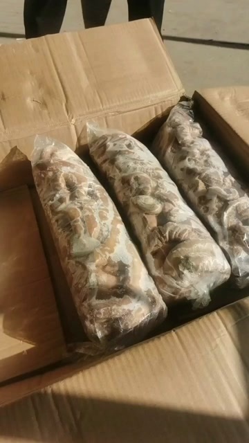 漯河牛小肠