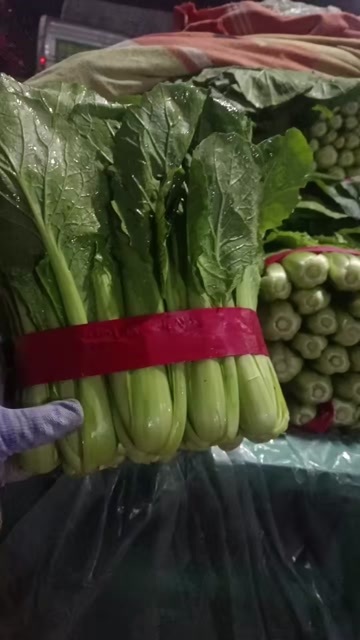 邯郸小白菜