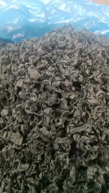 裙带菜L号无黄叶无沙泡发率高！电商实体一件35斤质量有保证
