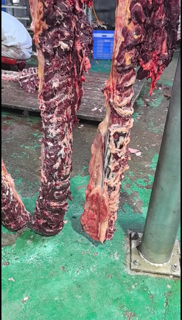 牛肉批发，屠宰场出货，带票
