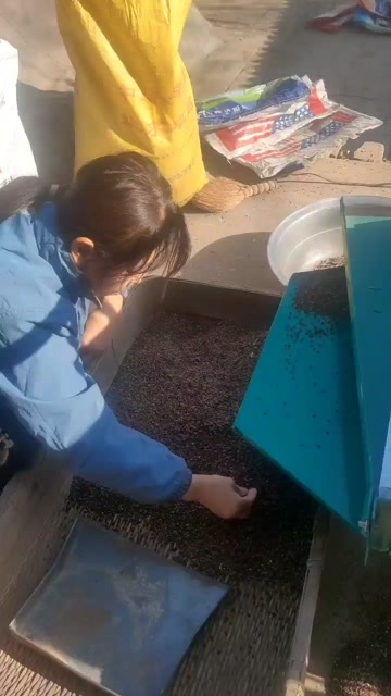 介休市成品荞麦，荞麦皮，荞麦面