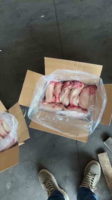曹县母猪口条