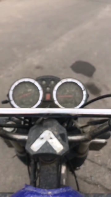 新品鲫鱼水花包邮，货到付款