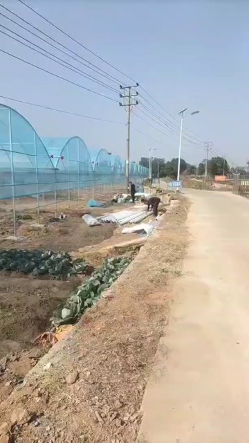 无锡钢管大棚 农业种植温室大棚 蔬菜瓜果大棚管 配件齐全现货批发