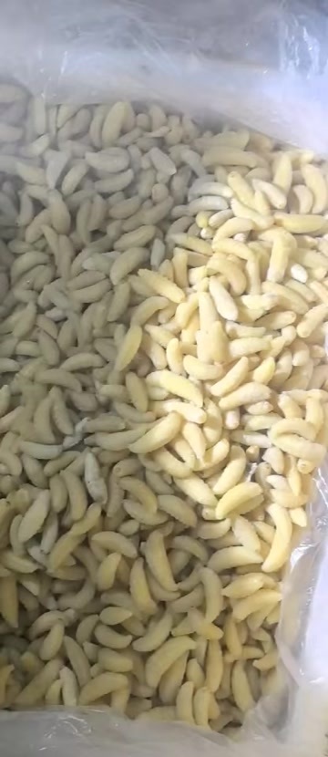青神县蜂蛹一级有货有货