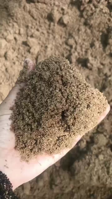 新乡小麦糟，几分一斤，一手货源，