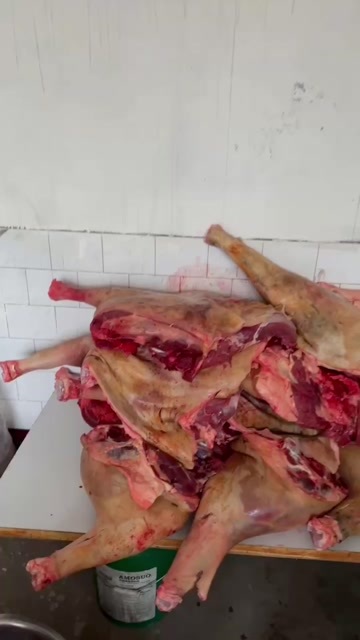 滦州市鲜马肉腿肉