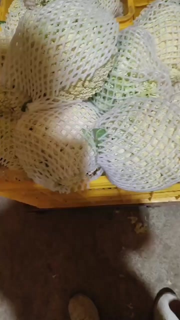 白面青梗散花