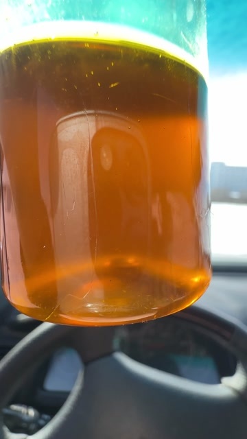 呼伦贝尔内蒙本地油菜籽.含油43油色75