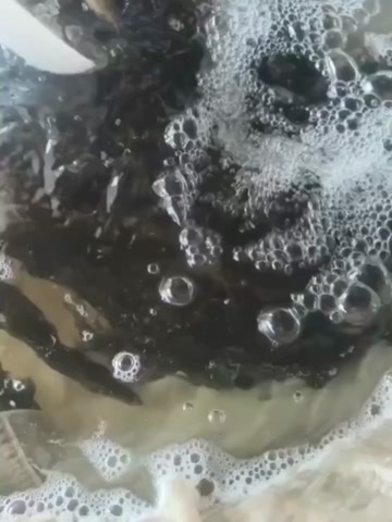 桂花鱼苗鳜鱼苗淡水鱼塘水库养殖精品凶猛肉食桂鱼苗鳌花鱼可专养