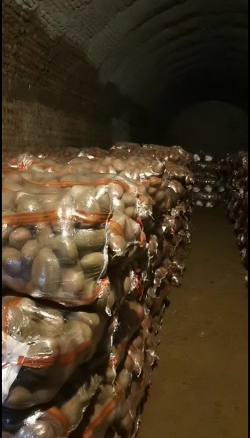 张北县雪川红，现货速发，精品，大量库存，属性好