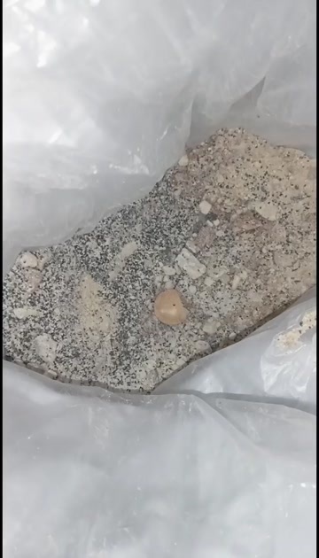 泸县残次品食品级饼干面包