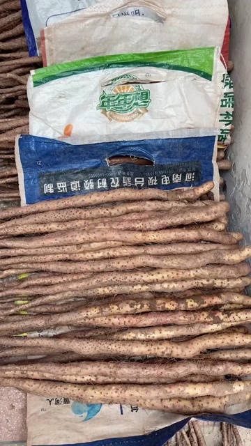 沁阳市焦作温县垆土铁棍山药