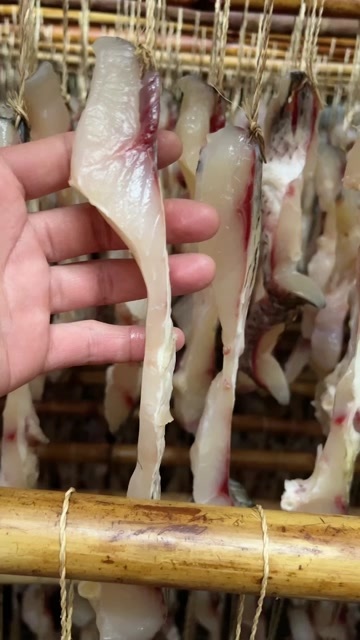 风味草鱼干