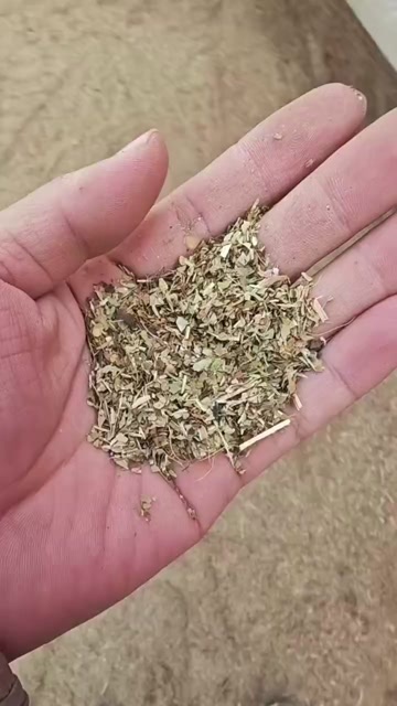 秸秆饲料（花生秧）康，