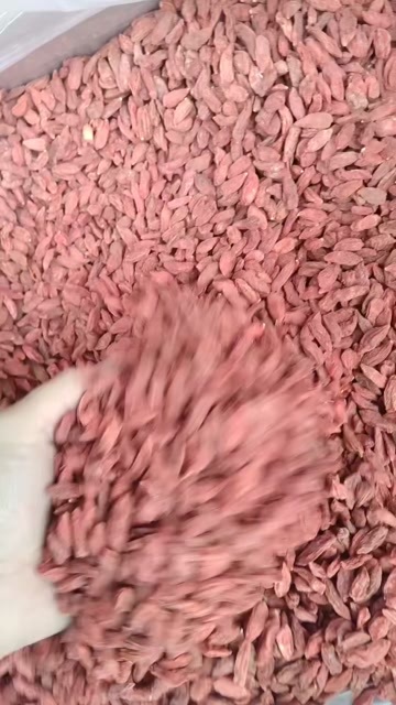 藤县枸杞大粒干爽