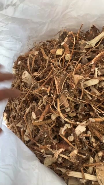 阳山县大山五指毛桃