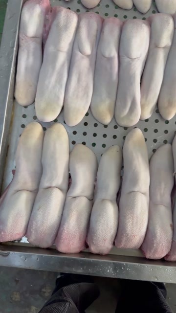 连云港本土小黄牛 屠宰场每天屠宰500+精修牛舌