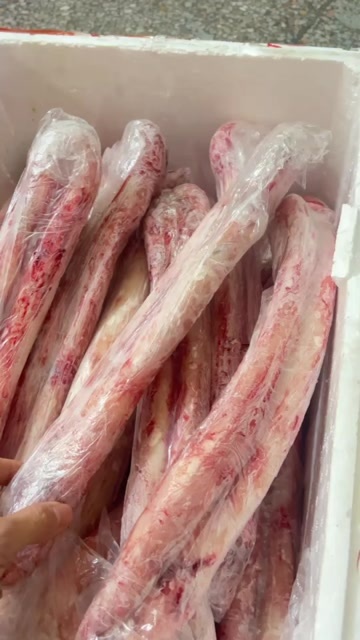 广东汕头新鲜牛宝鞭 特色农畜产品 优质牛副肉制品