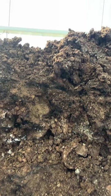 宜阳县河南洛阳优质牛粪有机肥 整车发货可开发票 农资必备