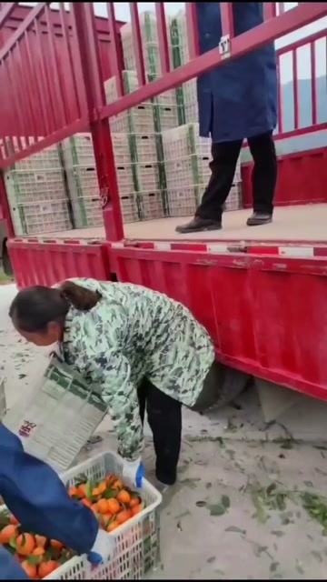 巫山巫山沃柑默科特