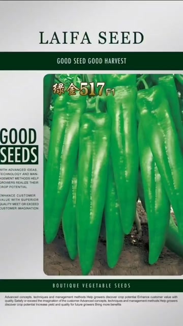 甘南县牛角椒。绿皮