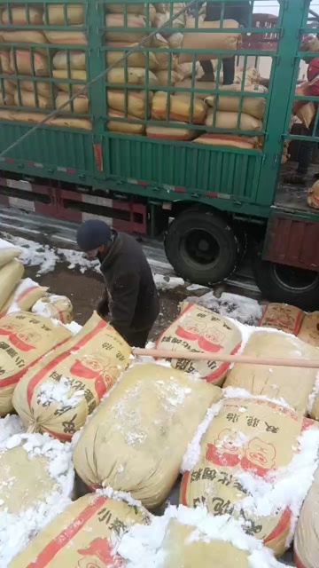 若尔盖县羊粪蛋，纯干，天然有机肥