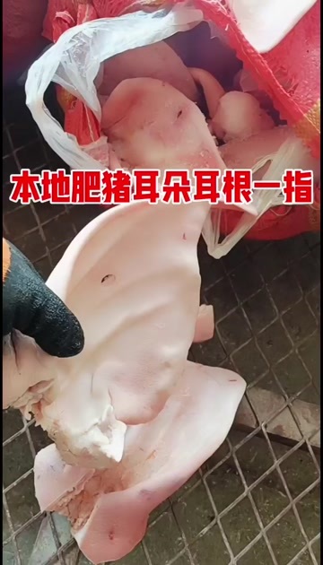 昆明猪耳朵
