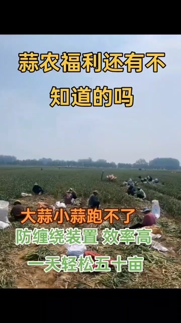 郓城县一体式大蒜收获机