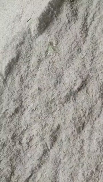 乳山市生蚝壳粉，根据客户使用需求生产，用途主要是养殖饲料，医用添加
