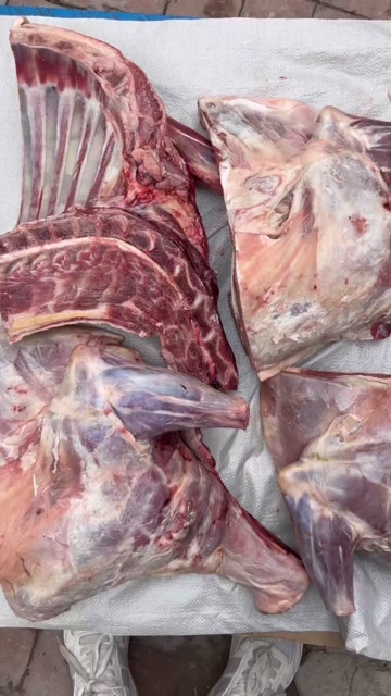 羊酮体，羊四分体