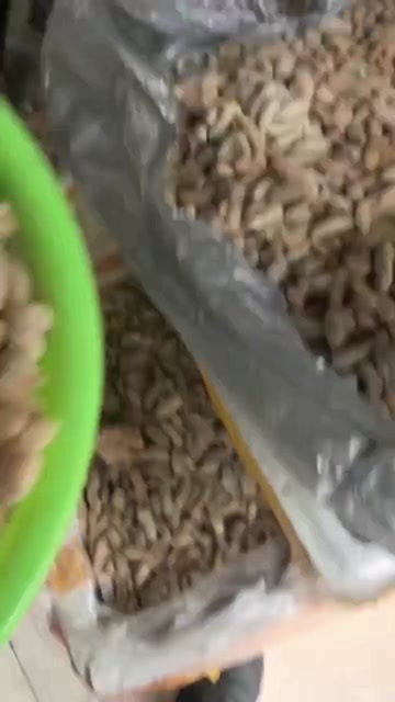 青神县四川新鲜土蜂蛹3级去内脏特色农产品禽畜肉蛋批发零售