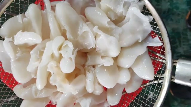 南安市石斑鱼胶