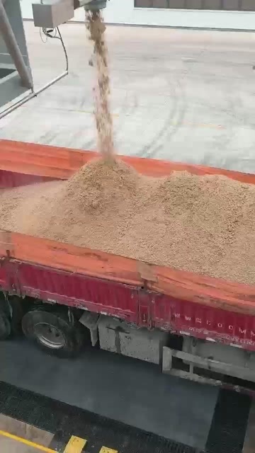 广州啤酒糟300一吨，长期供应货源充足