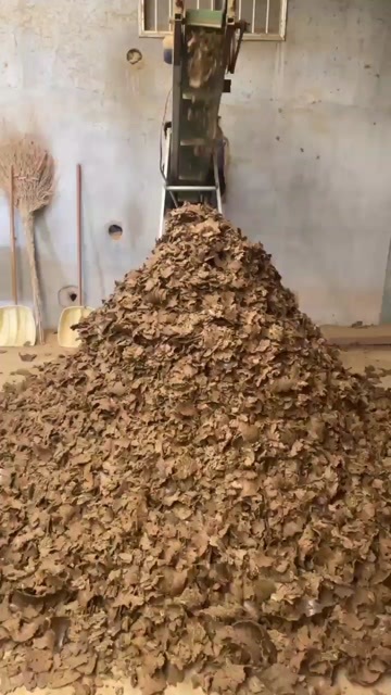 郓城县棉籽饼养殖肥，高蛋白，高脂肪，高营养