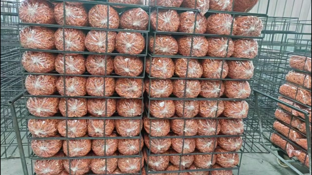 天然无硫虫草花大量批发一手货源量大更优全国发货