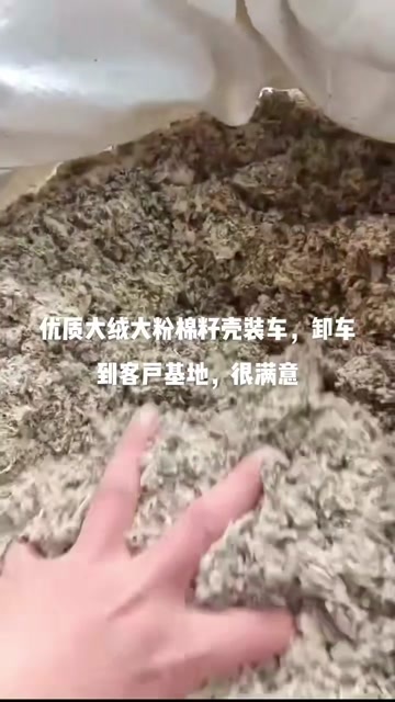 大同新疆，山东，河北，大绒，大粉，磨盘棉籽壳厂家直销。