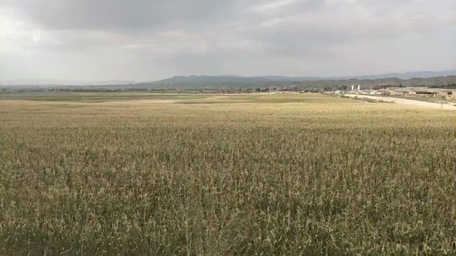 定西土地转租1000亩水浇地