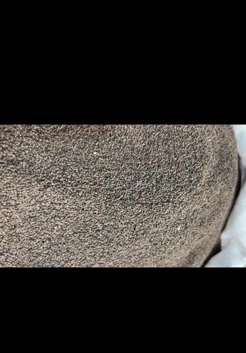 亳州白花菜籽正品新货中药材白花菜籽 百花菜子 白花菜子